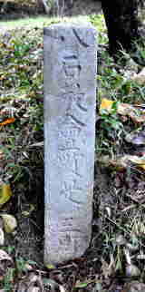 ���΋�������O��